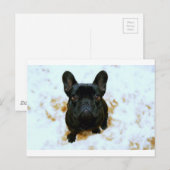 可愛いフランスのブルドッグパピー！ ポストカード (正面/裏面)