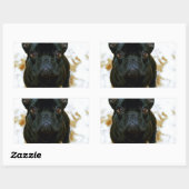 可愛いフランスのブルドッグパピー！ 長方形シール (シート)