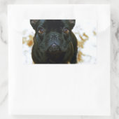 可愛いフランスのブルドッグパピー！ 長方形シール (バッグ)