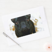 可愛いフランスのブルドッグパピー！ 長方形シール (封筒)