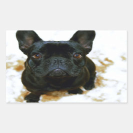 可愛いフランスのブルドッグパピー！ 長方形シール
