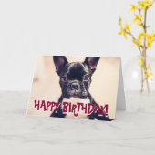 可愛いフランスのブルドッグ誕生日カード カード (黄色い花)