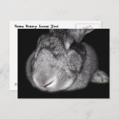 可愛いフランダース巨人いくつかのバニーはあなたを愛している！ ポストカード (正面/裏面)