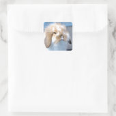 可愛いフランダース白と茶色のウサギ スクエアシール (バッグ)