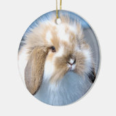 可愛いフランダース白と茶色のウサギ セラミックオーナメント (左)