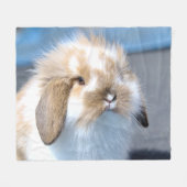 可愛いフランダース白と茶色のウサギ フリースブランケット (正面(横))