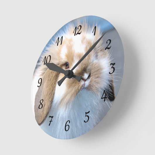 可愛いフランダース白と茶色のウサギ ラウンド壁時計 (傾斜)