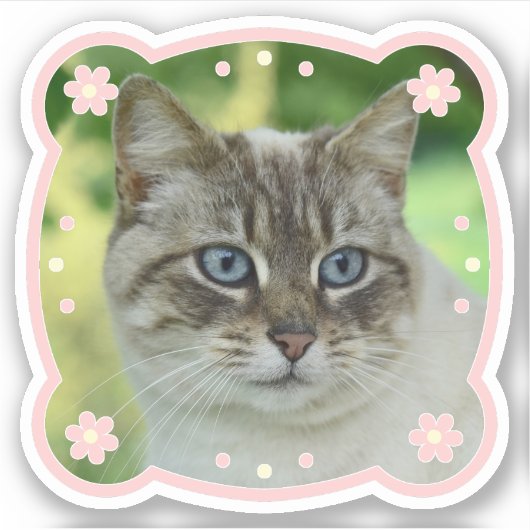 可愛いフレームパーソナライズされた画像 シール (正面)