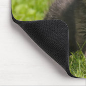 可愛いフワフワ赤キツネかわいい赤ちゃんアニマル写真 –  マウスパッド (コーナー)