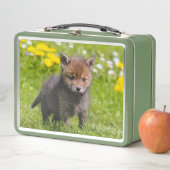 可愛いフワフワ赤キツネキットCub野生の赤ちゃん動物写真 メタルランチボックス (インサイチュ)