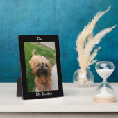 可愛いブラウントムボーイヨークシャーテリア フォトプラーク (側面)