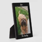 可愛いブラウントムボーイヨークシャーテリア フォトプラーク (側面)