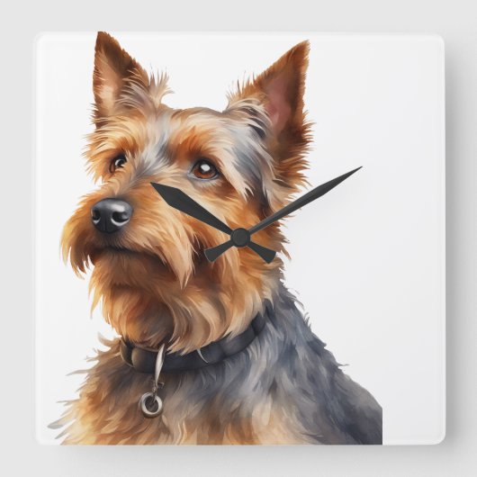 可愛いブラウン&グレーオーストラリアのテリア犬 スクエア壁時計 (正面)