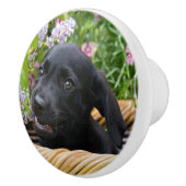 可愛いブラックラブラドールレトリエバードッグパピーペットフォト セラミックノブ (右)