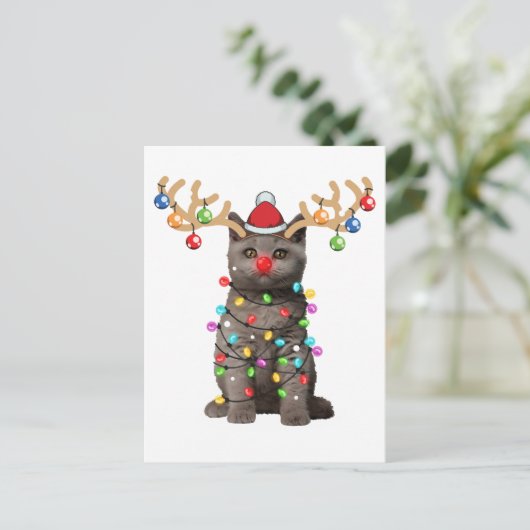 可愛いブリティッシュ・ショートヘアおもしろい・キャット・クリスマスホリデー ポストカード (スタンド正面)