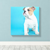 可愛いブルドッグパピー キャンバスプリント (インサイチュ (ウッドフロア))