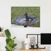 可愛いブルージェイ鳥の入浴スパイゲランドポスター ポスター (ホームオフィス)