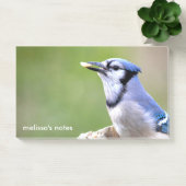 可愛いブルージェイSongbird with Peanut ポストイット (オフィス)