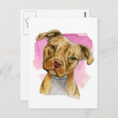 可愛いヘッドティルトピットブルドッグウォーター絵画カラー ポストカード (正面/裏面)