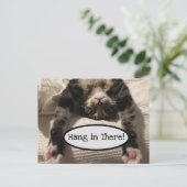 可愛いヘンリーつる猫の写真 ポストカード (スタンド正面)