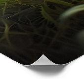 可愛いベビーキツネ ポスター (角)