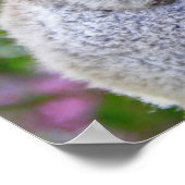 可愛いベビーコアラは木の中でママとクマ ポスター (角)