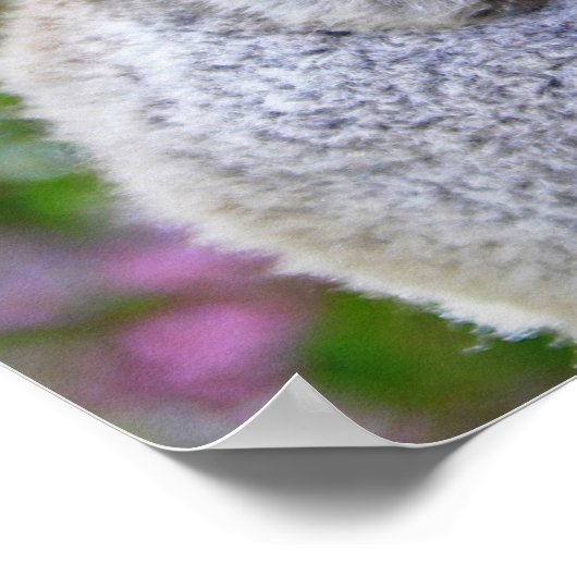 可愛いベビーコアラは木の中でママとクマ ポスター (角)