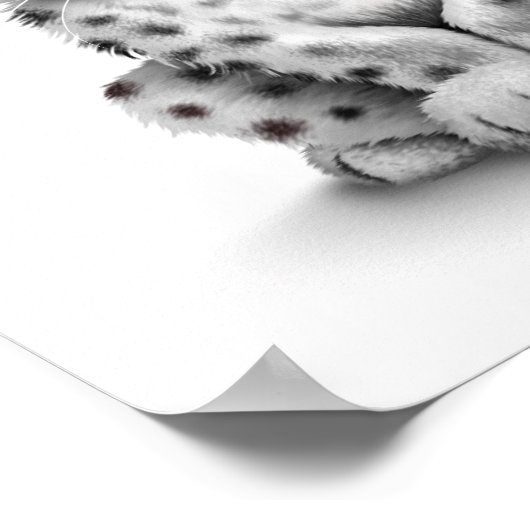 可愛いベビースノーヒョウかわいいクブオンホワイト ポスター (角)