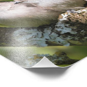 可愛いベビーブシュティートソングバーズザナシ フォトプリント (角)