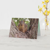 可愛いベビーリス空白のル カード (黄色い花)