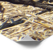 可愛いベビー子牛の看護ママカウポスター ポスター (角)