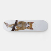 可愛いベビー猫おもしろい猫ジムフォト – スケートボード (横)