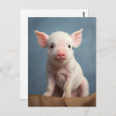 可愛いベビー豚おもしろい豚 – 動物の飼育 ポストカード (正面/裏面)