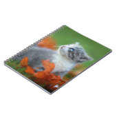 可愛いベビー遊子猫のアウトドア ノートブック (左側)