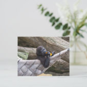 可愛いベビー食べゴリラのとあなたを見て ポストカード (スタンド正面)