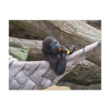 可愛いベビー食べゴリラのとあなたを見て