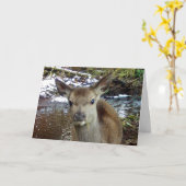 可愛いベビー鹿グリーティングカード追加文字 カード (黄色い花)