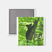 可愛いベビー黒熊 マグネット (正面/裏面)