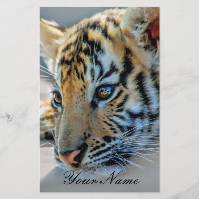 可愛いベビー (正面)