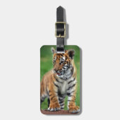 可愛いベビー ラゲッジタグ (正面縦)