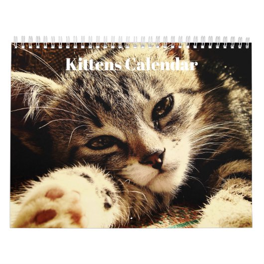 可愛いベンガル子猫2023 カレンダー (カバー)
