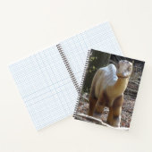 可愛いベージュ恐竜ノート ノートブック (内部)