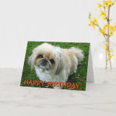 可愛いペキンのグリーティングカード カード (黄色い花)