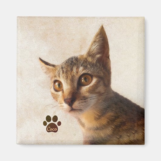 可愛いペットの子猫をパーソナライズ写真カスタムテンプレート マグネット (正面)