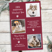 可愛いペットイヤーカスタムインレビュー犬3フォトホリデー