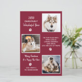 可愛いペットイヤーカスタムインレビュー犬3フォトホリデー (スタンド正面)