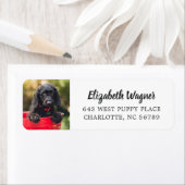 可愛いペットシンプルのモダン写真 ラベル (インサイチュ)