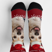 可愛いペットフォトレッドサンタハットメリークリスマス ソックス (上部)