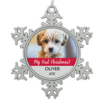 可愛いペット写真記念の子犬の初めてのクリスマス