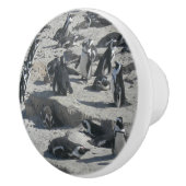 可愛いペンギンビーチセラミックプル セラミックノブ (右)